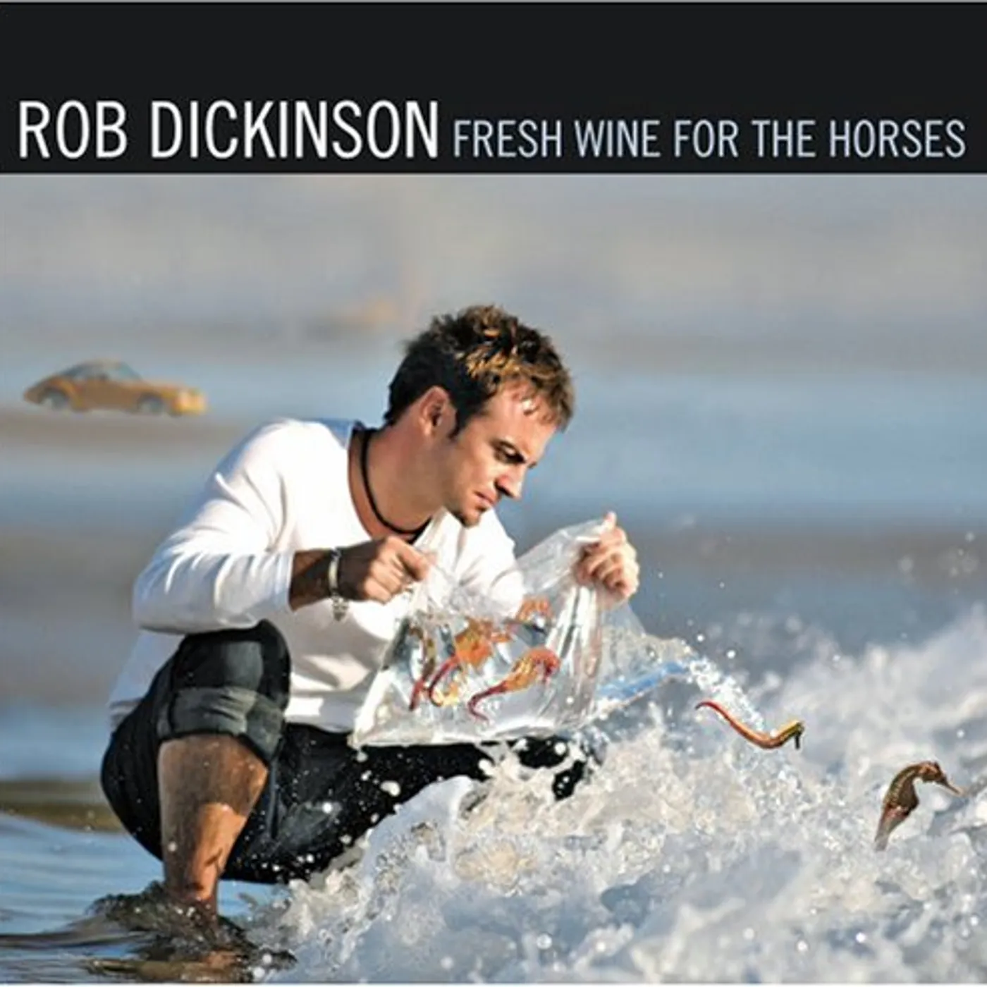 Rob Dickinson FRESH WINE FOR THE HORSES CD