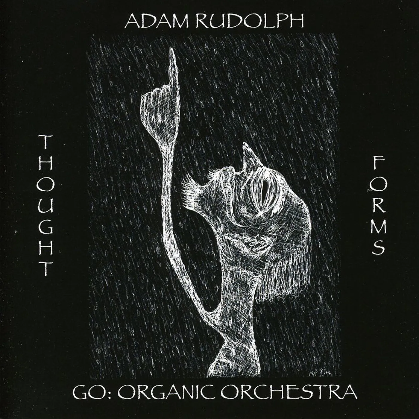 Adam Rudolph THOUGHT FORMS-GO: ORGANIC ORCHESTRA CD