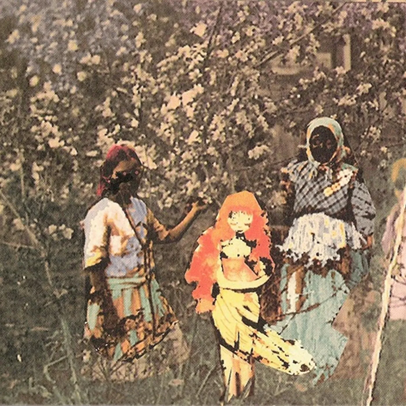 Paavoharju Laulu Laakson Kukista Vinyl Record