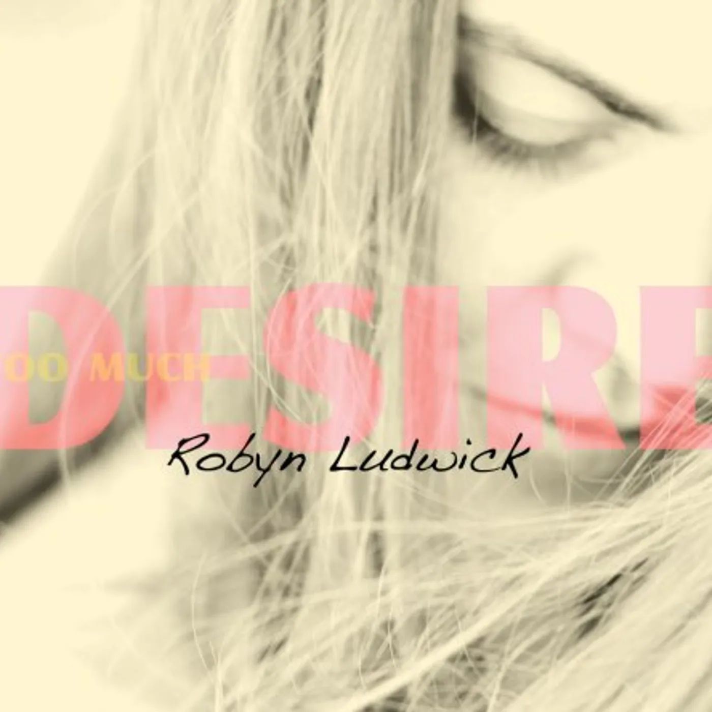 Robyn Ludwick TOO MUCH DESIRE CD