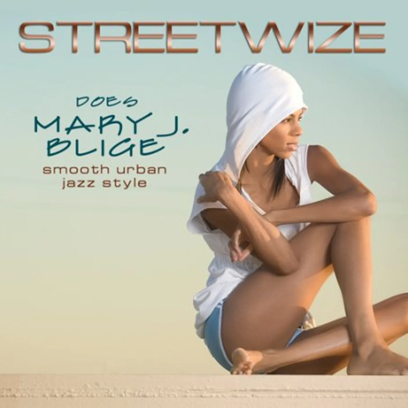 STREETWIZE DOES MARY J BLIGE CD