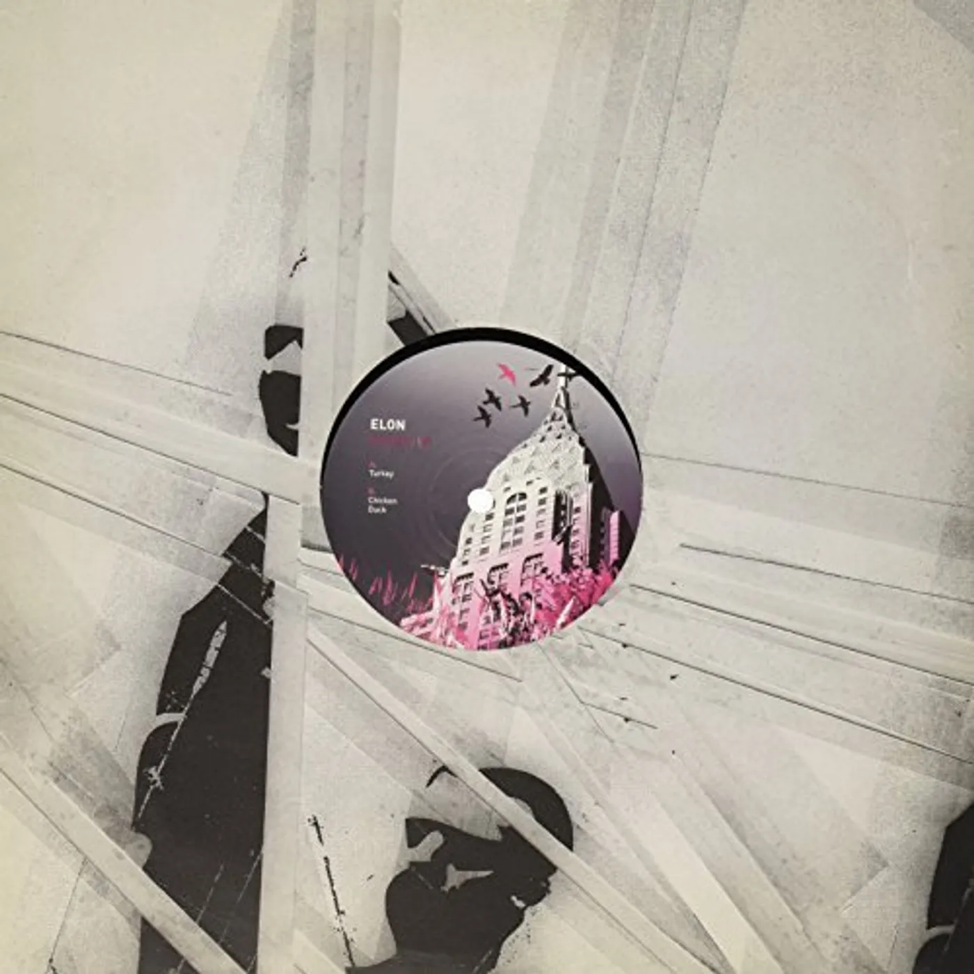 Elon BIRDS Vinyl Record