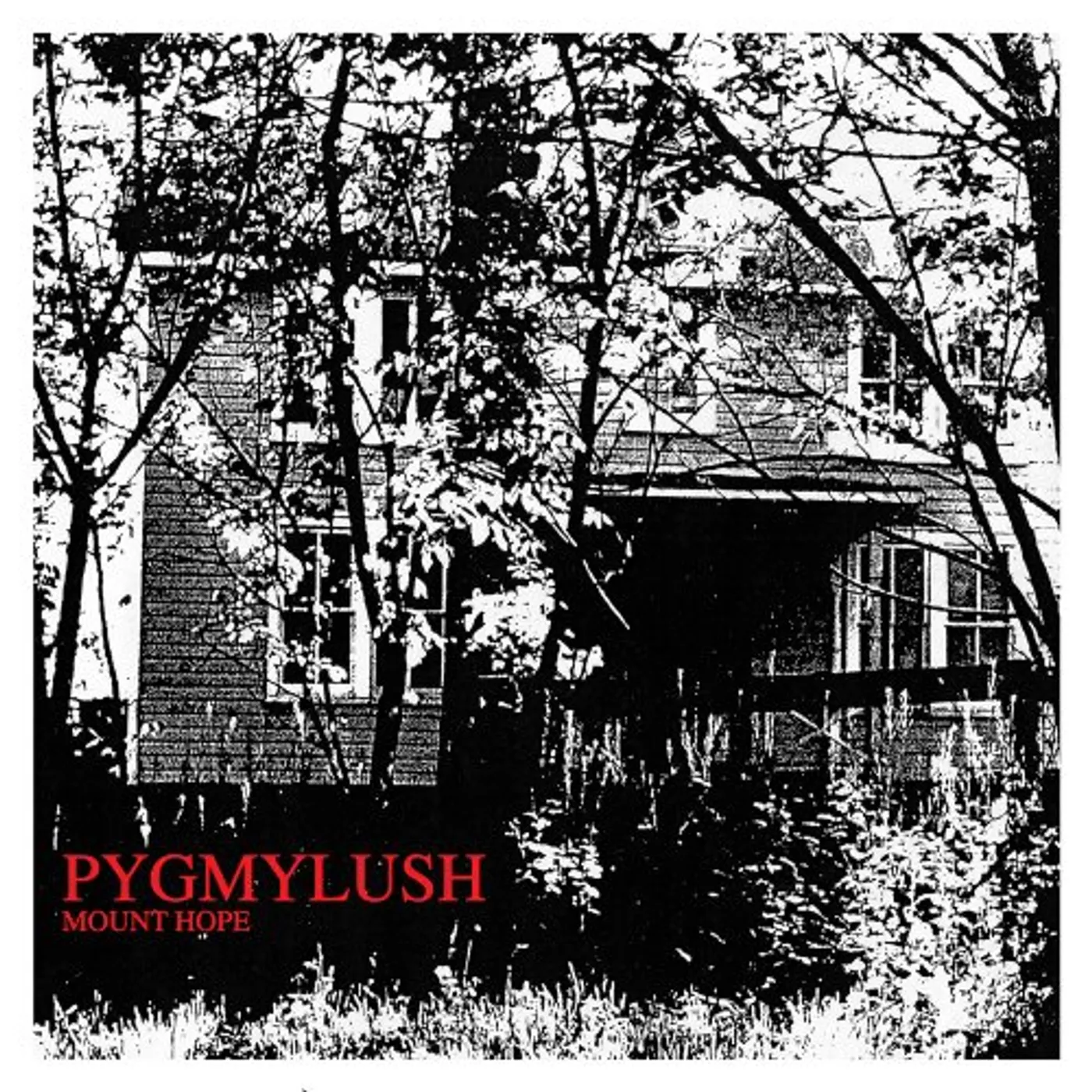 Pygmy Lush MOUNT HOPE CD