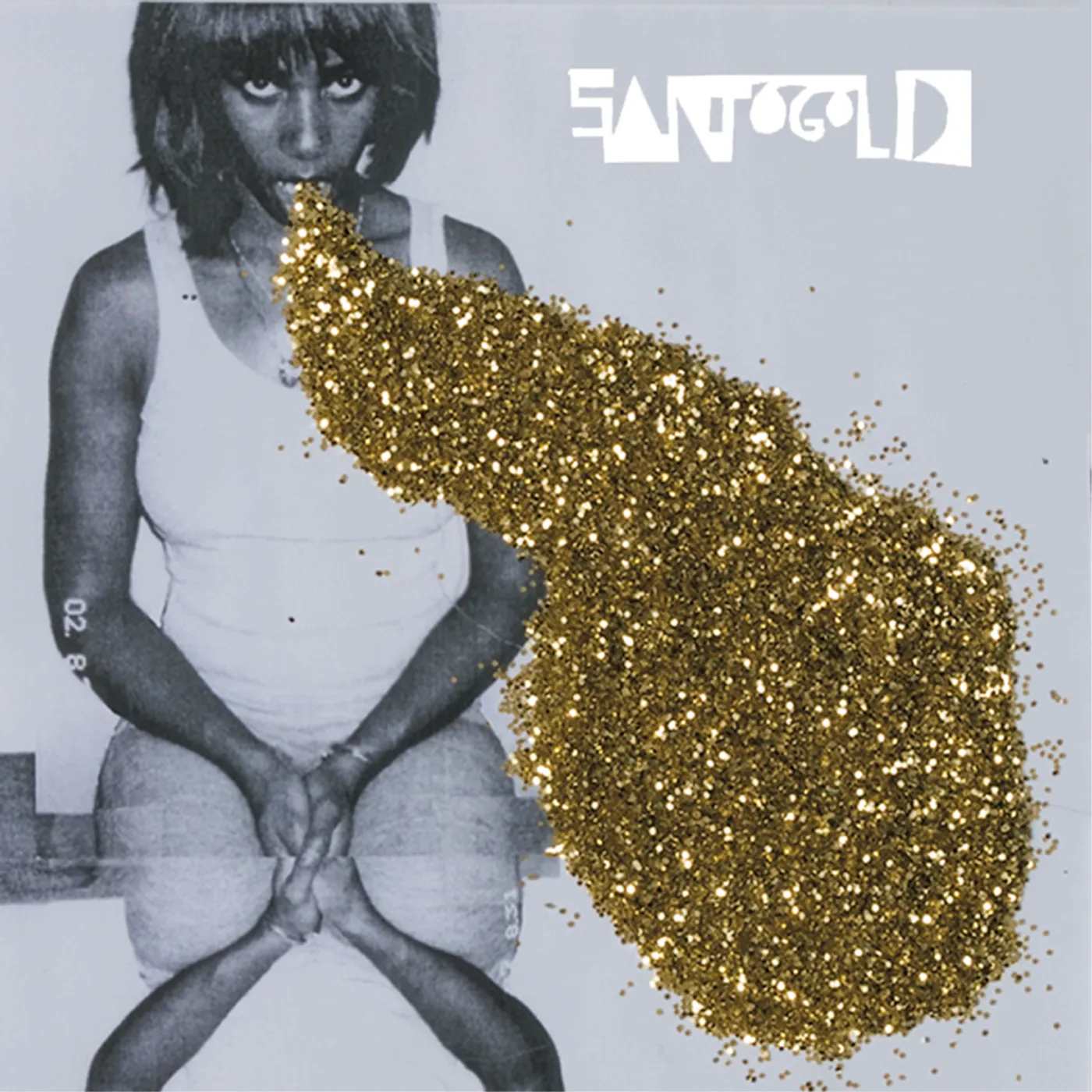 Santigold Vinyl Record