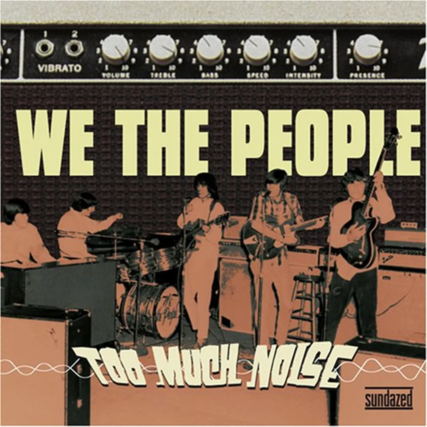 We The People Too Much Noise Vinyl Record