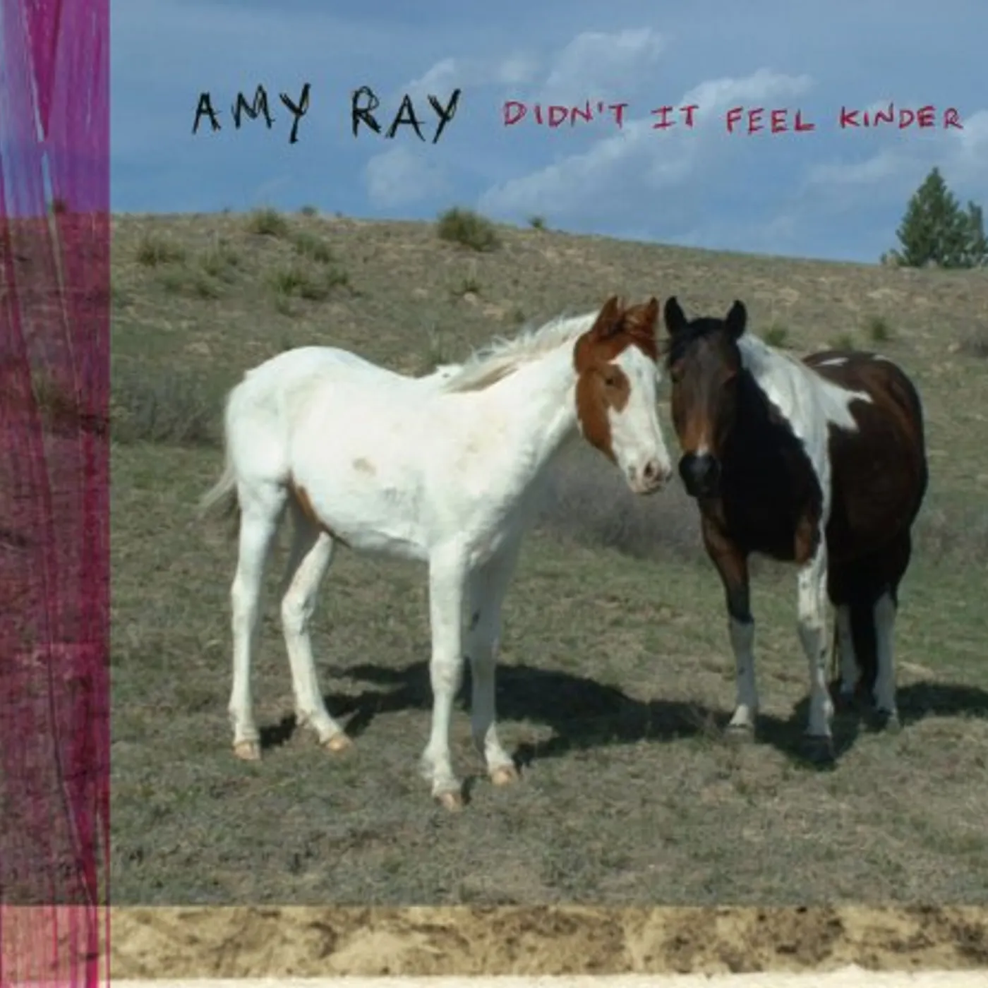 Amy Ray DIDN'T IT FEEL KINDER CD