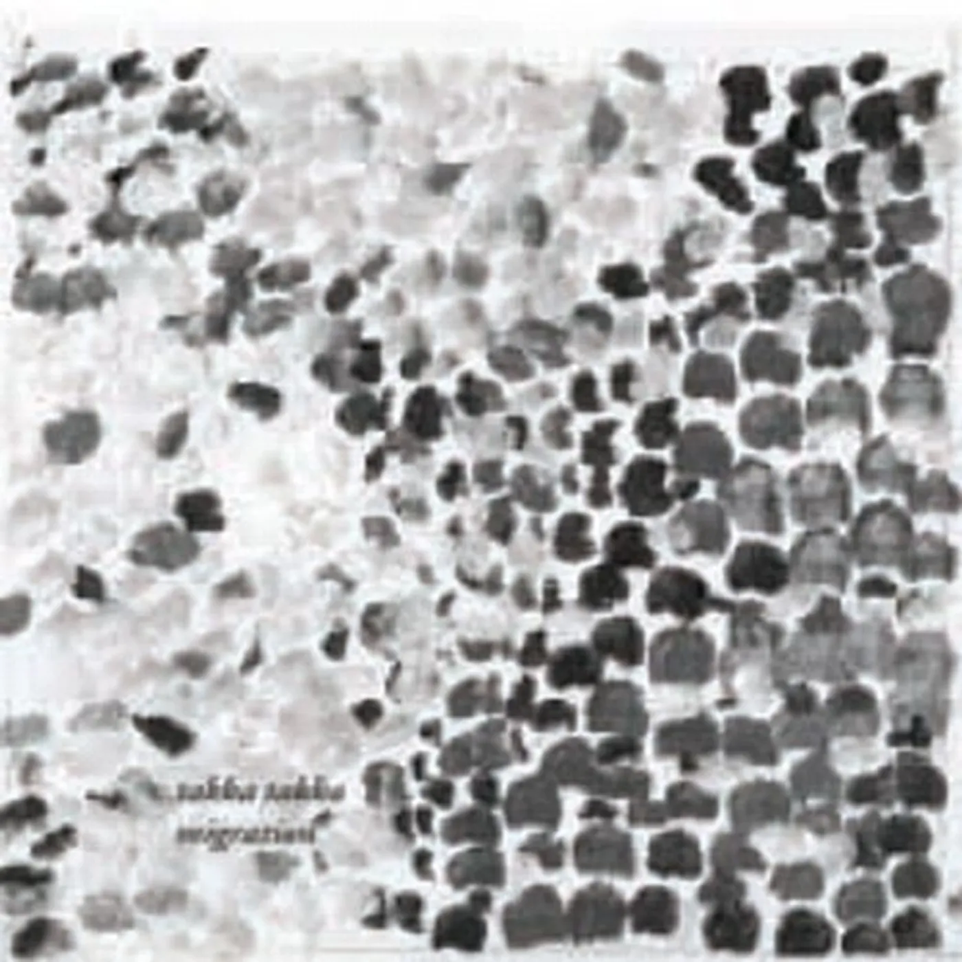 Takka Takka MIGRATION CD