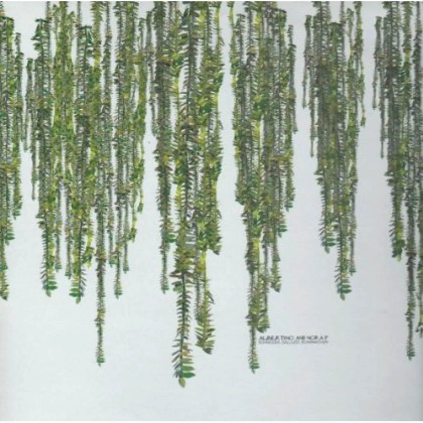 Guido Schneider / Andre Galluzzi / Flo Schirmacher Albertino And Nora P Vinyl Record