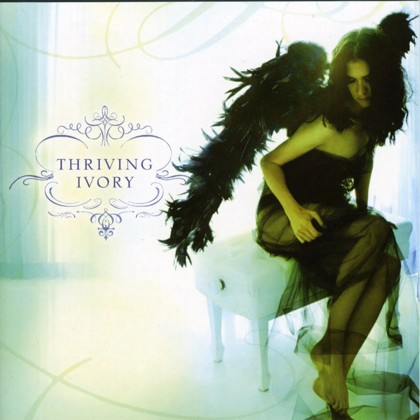THRIVING IVORY CD
