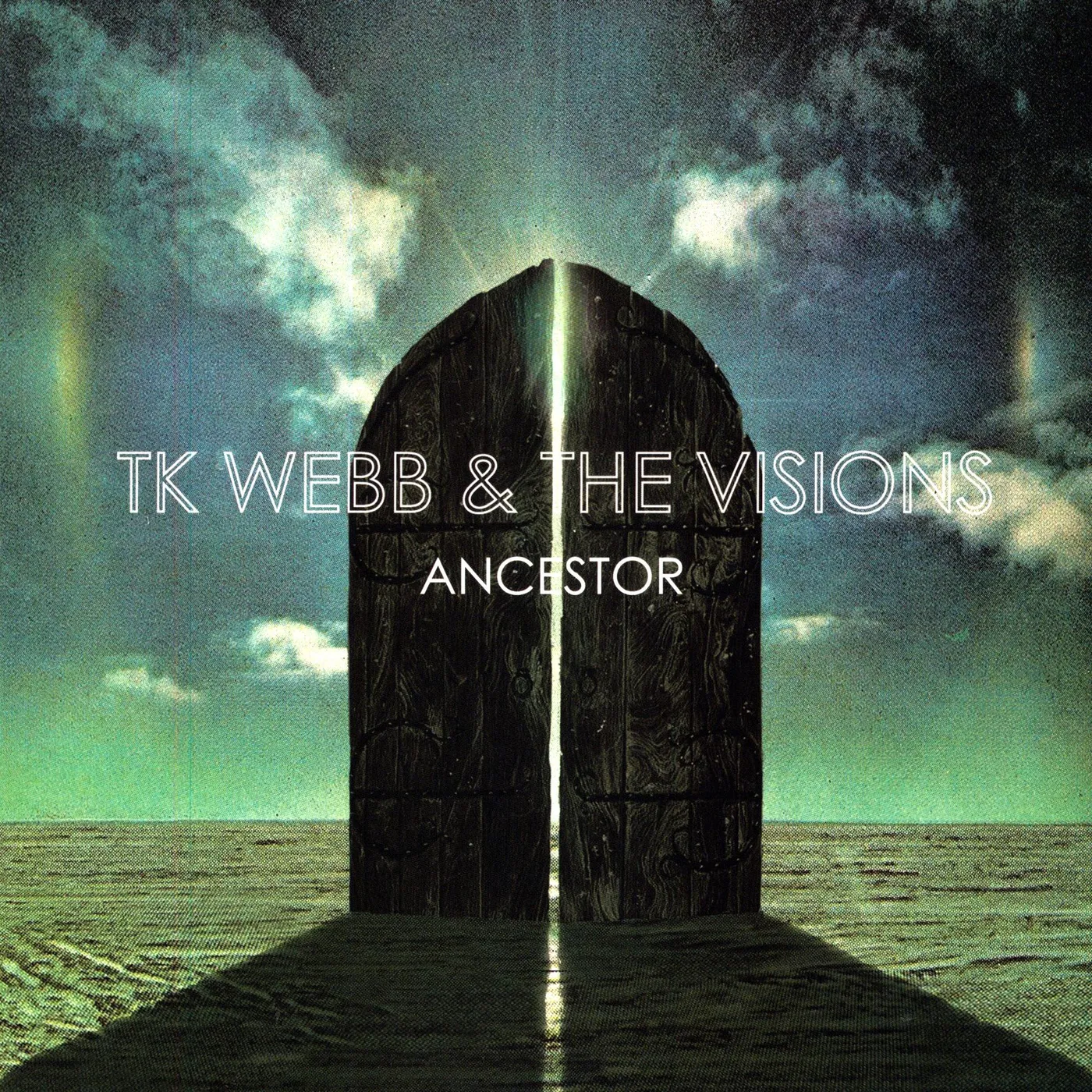 TK Webb & The Visions Ancestor Vinyl Record