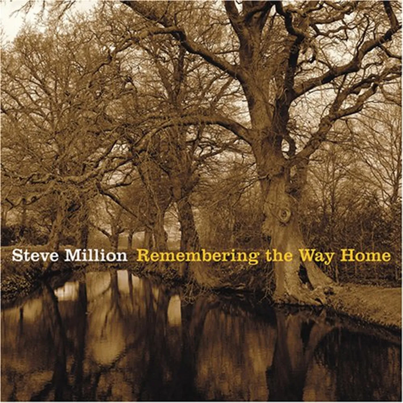 Steve Million REMEMBERING THE WAY HOME CD