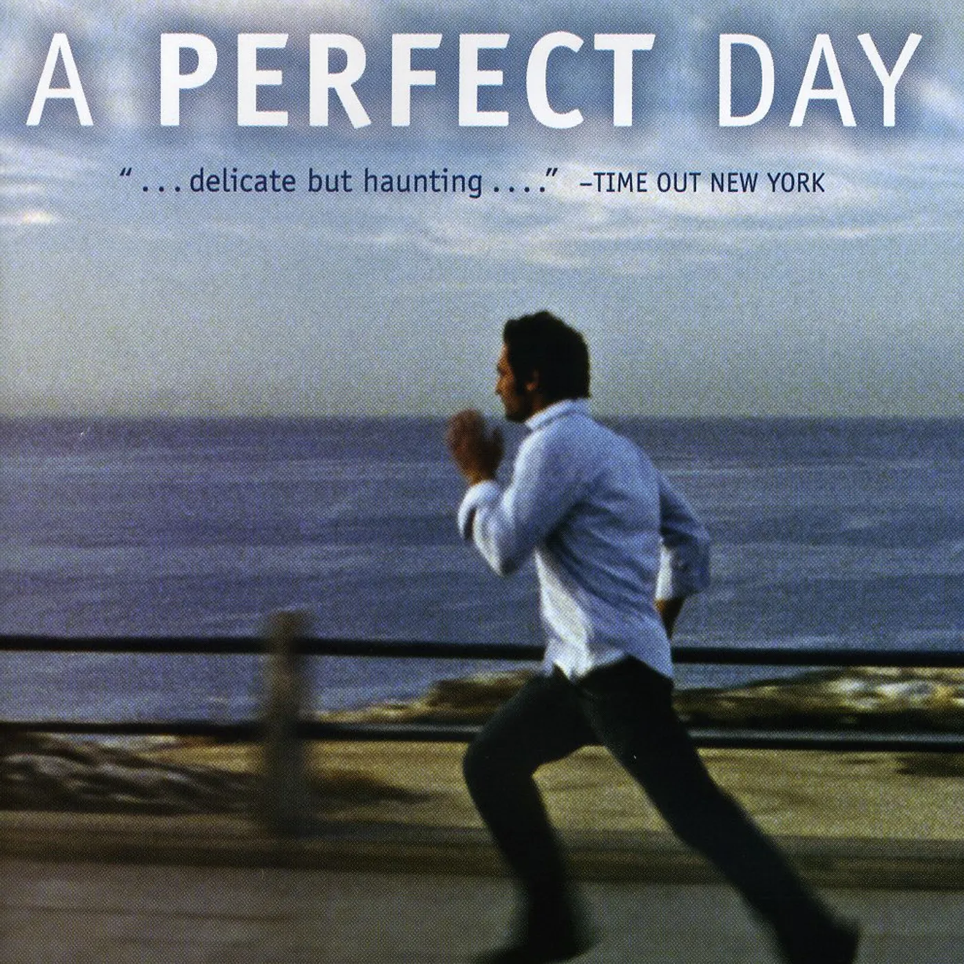 PERFECT DAY DVD