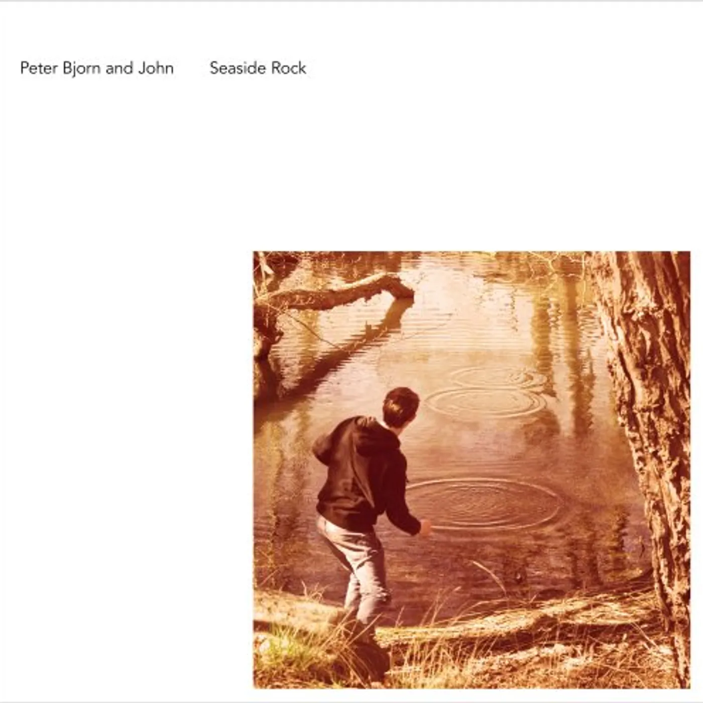 Peter Bjorn and John Seaside Rock Vinyl Record
