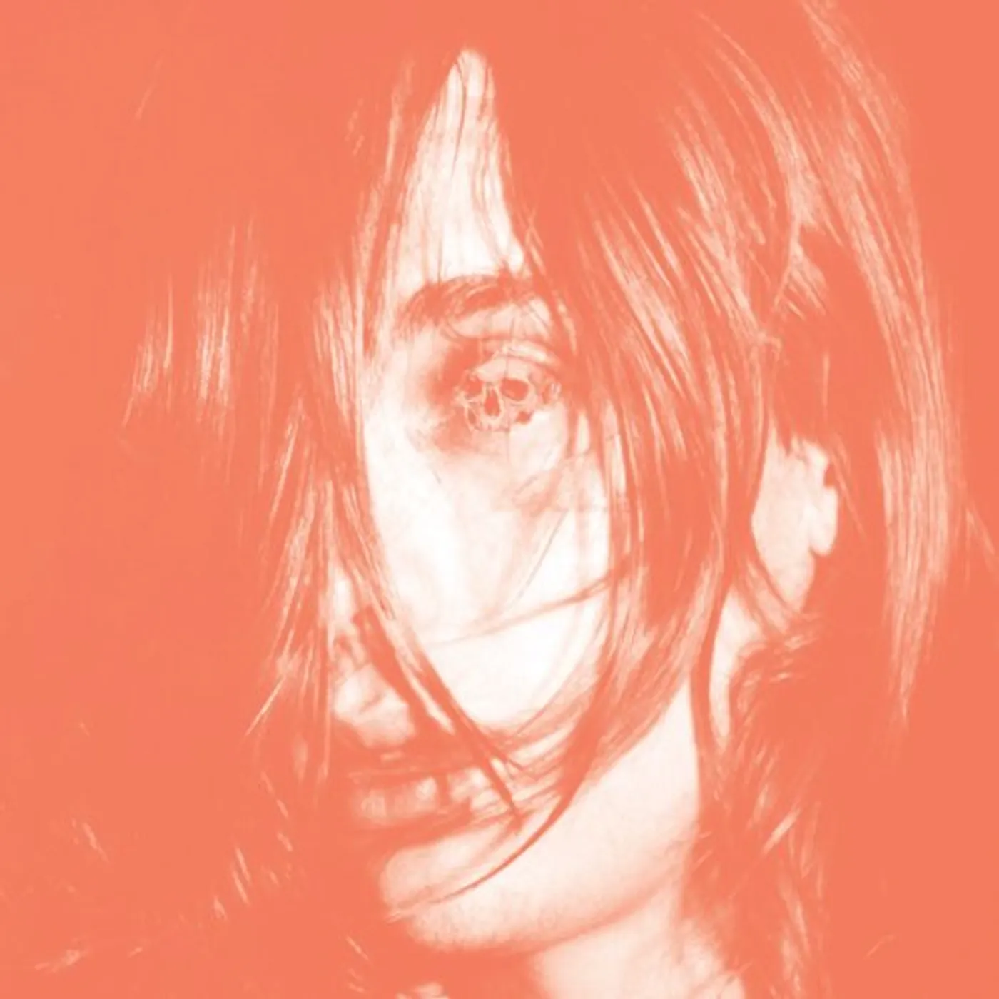Deerhunter Microcastle Vinyl Record