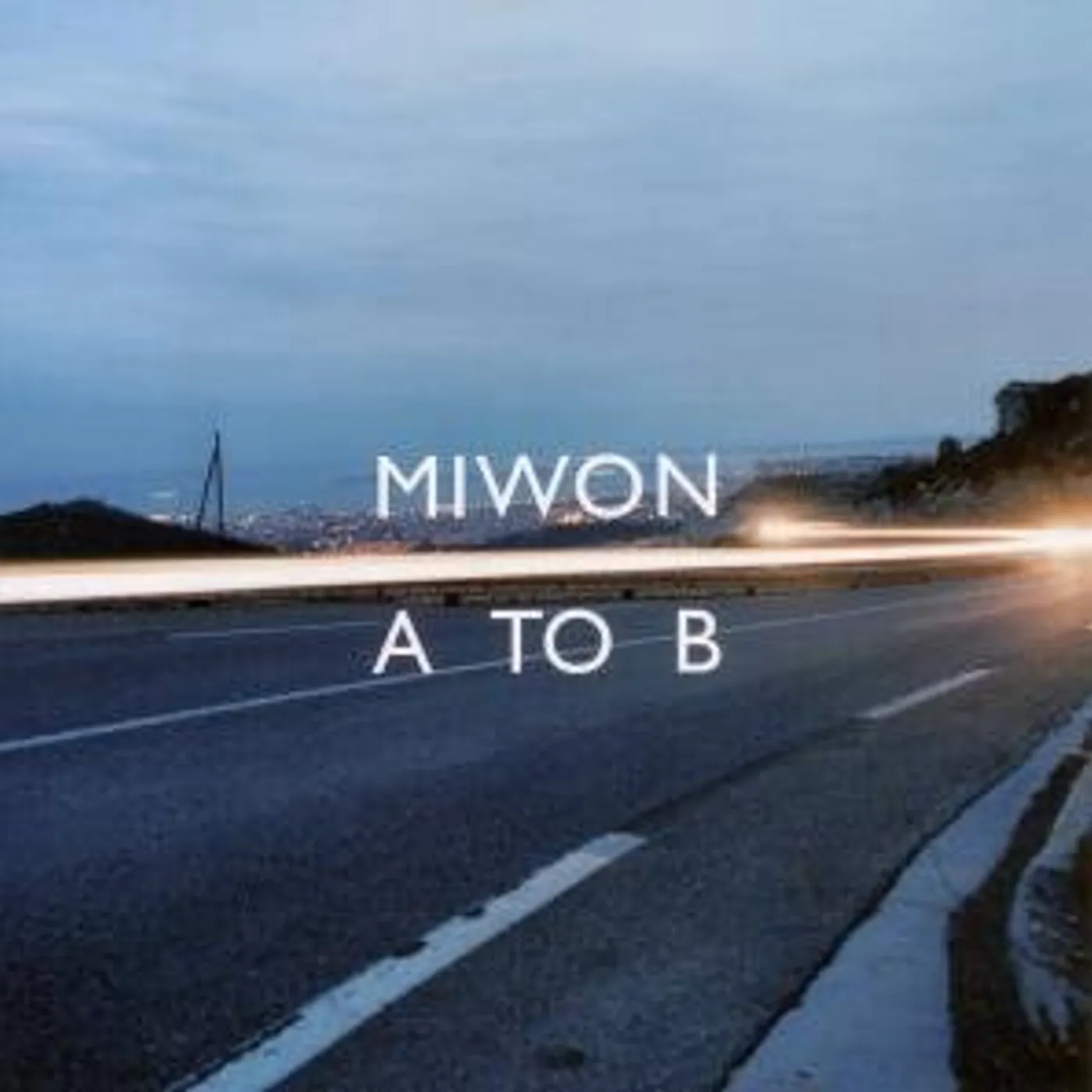 Miwon TO B Vinyl Record