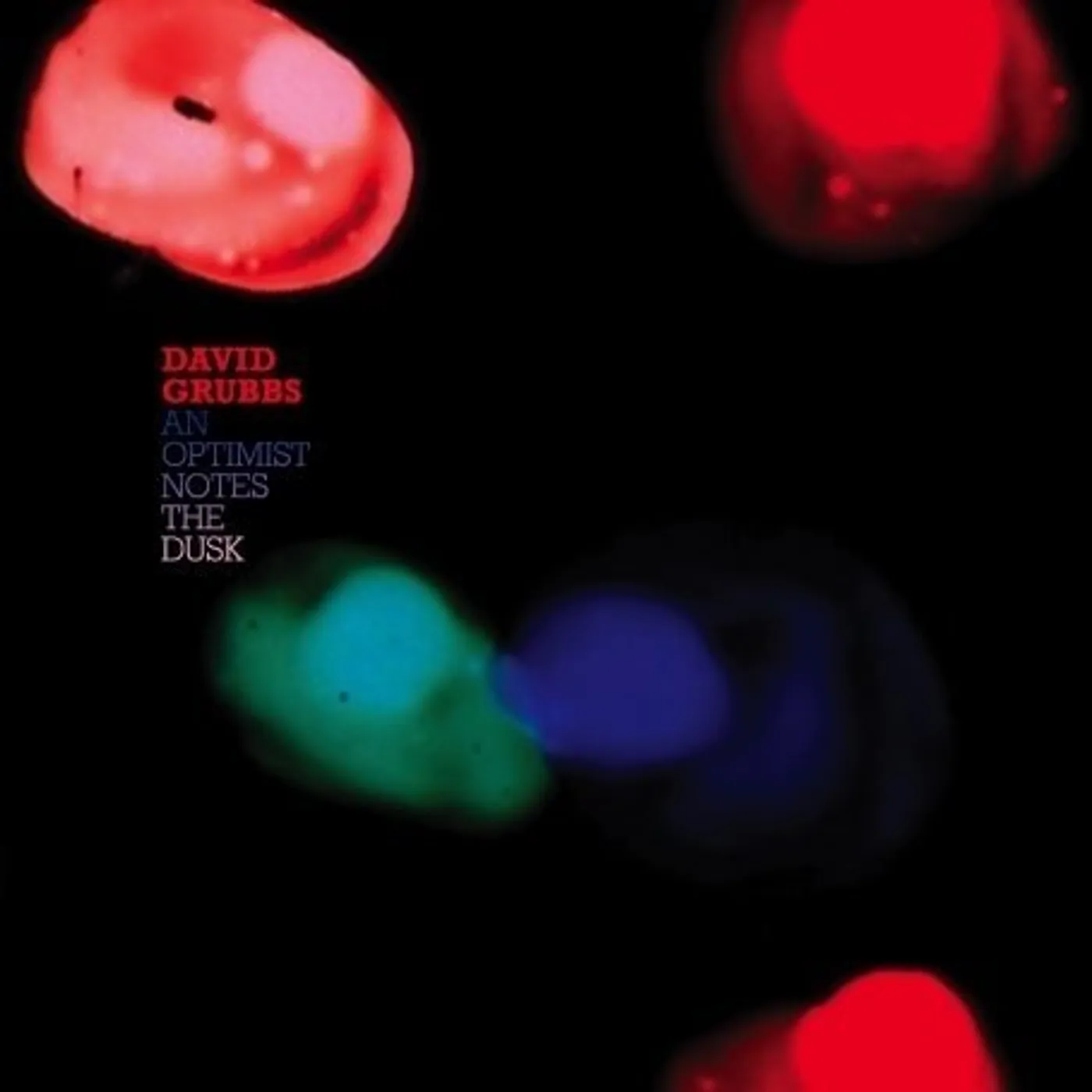 David Grubbs AN OPTIMIST NOTES THE DUSK Vinyl Record