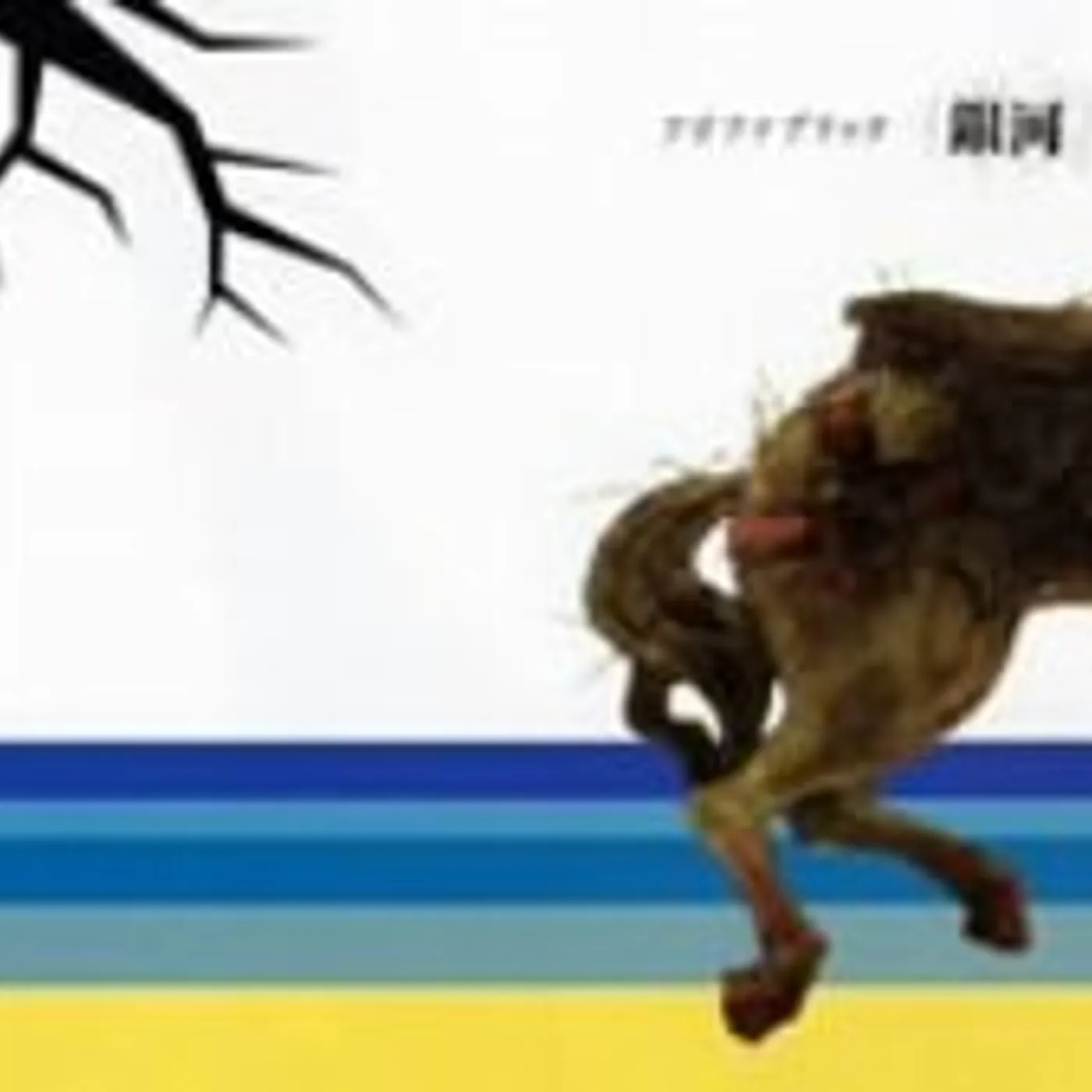 Fuji Fabric GINGA CD