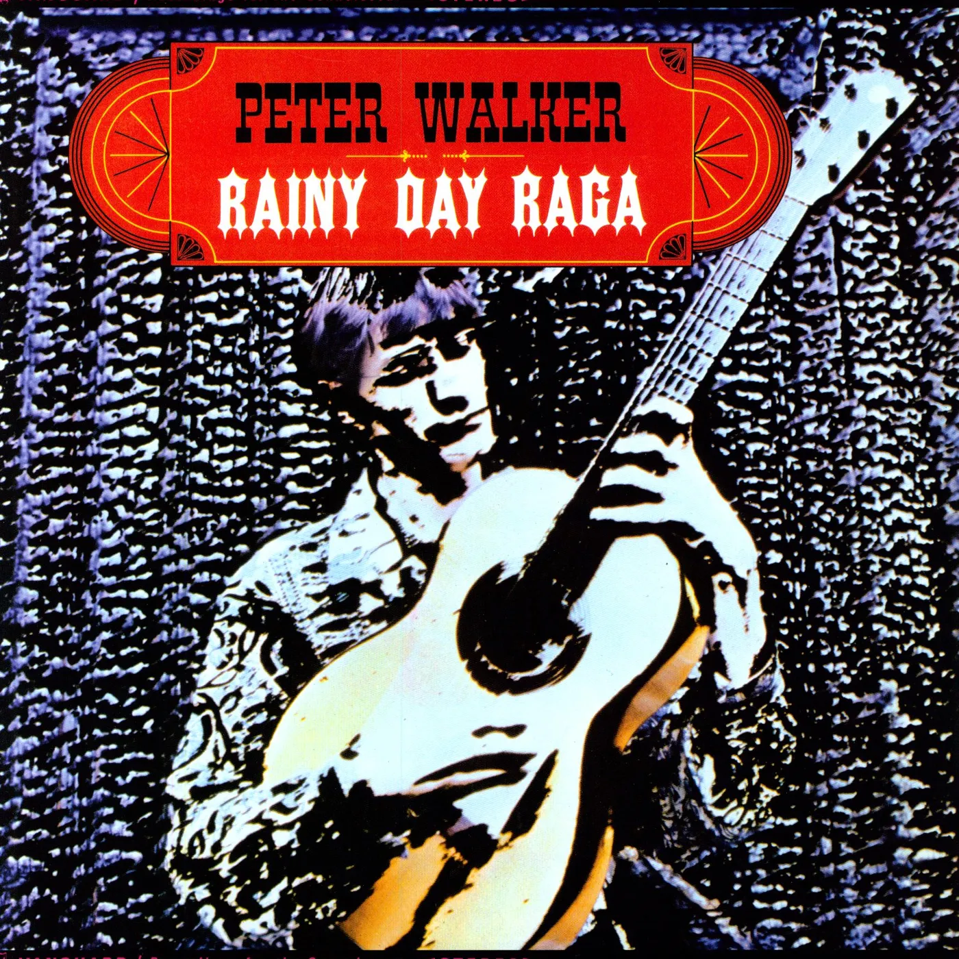 Peter Walker Rainy Day Raga Vinyl Record