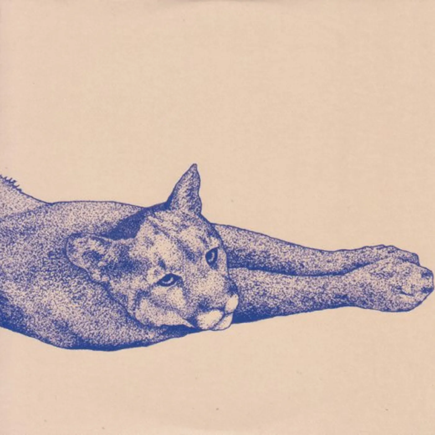 Koen Holtkamp Field Rituals Vinyl Record