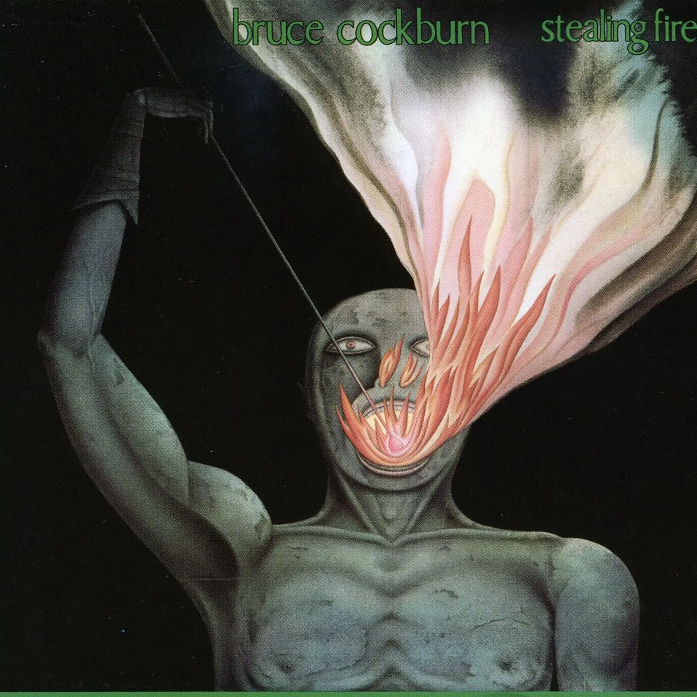 Bruce Cockburn STEALING FIRE CD