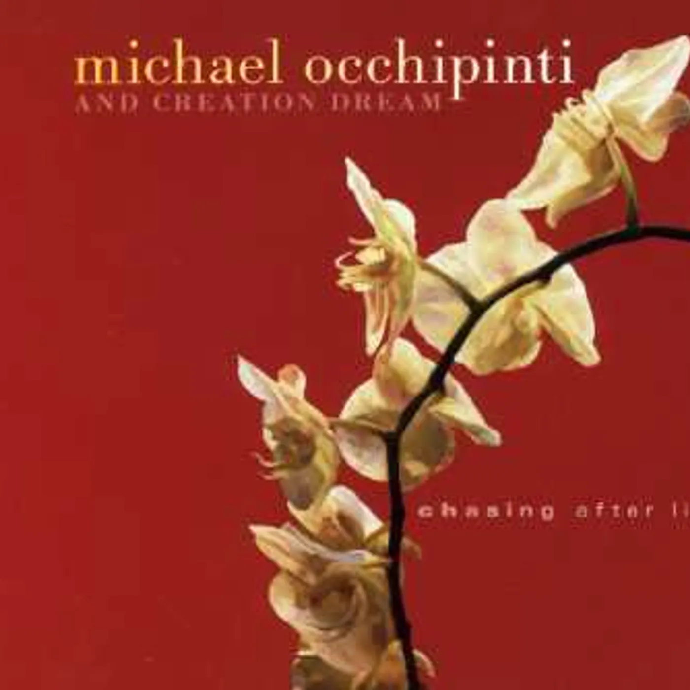 Michael Occhipinti CHASING AFTER LIGHT CD