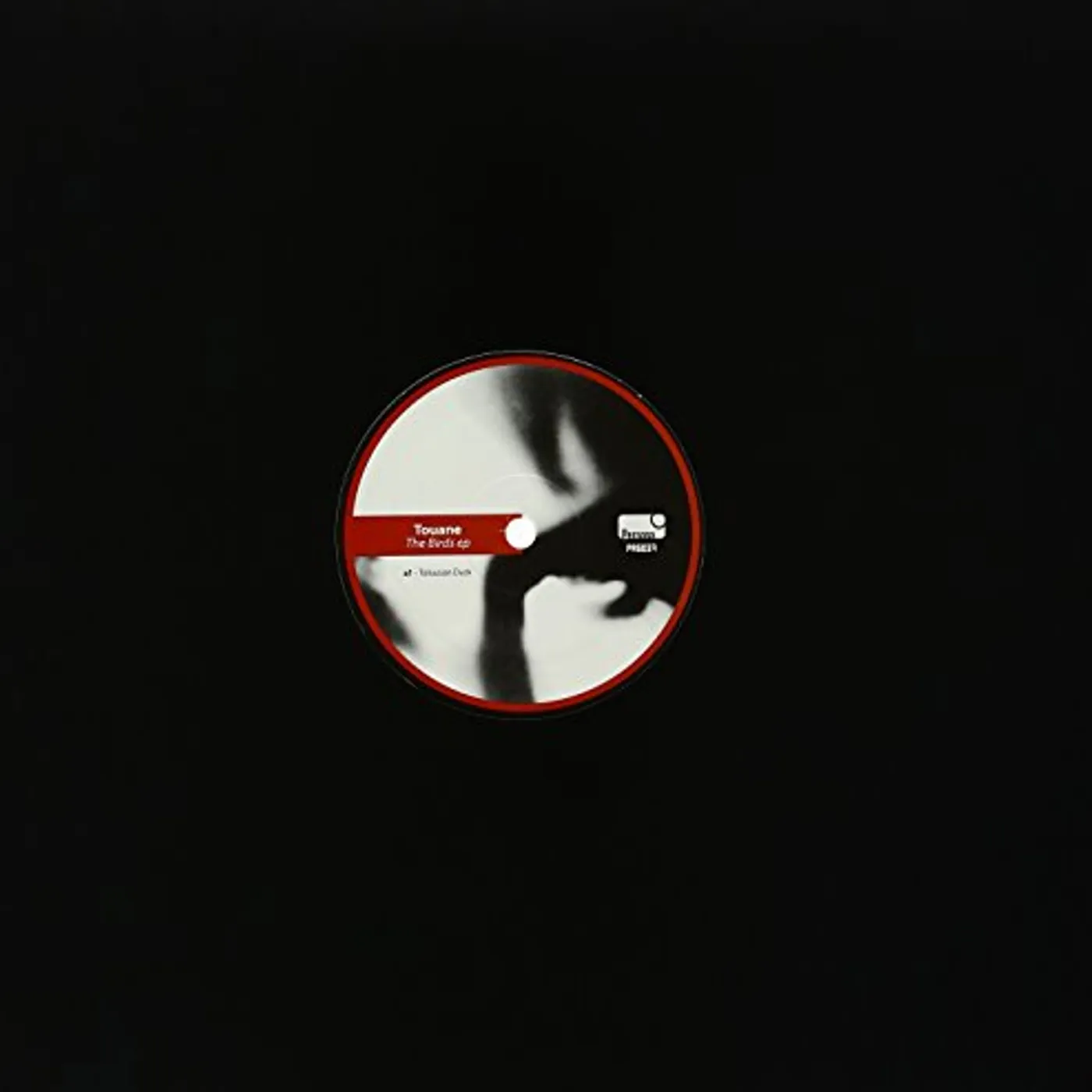 Touane BIRDS Vinyl Record