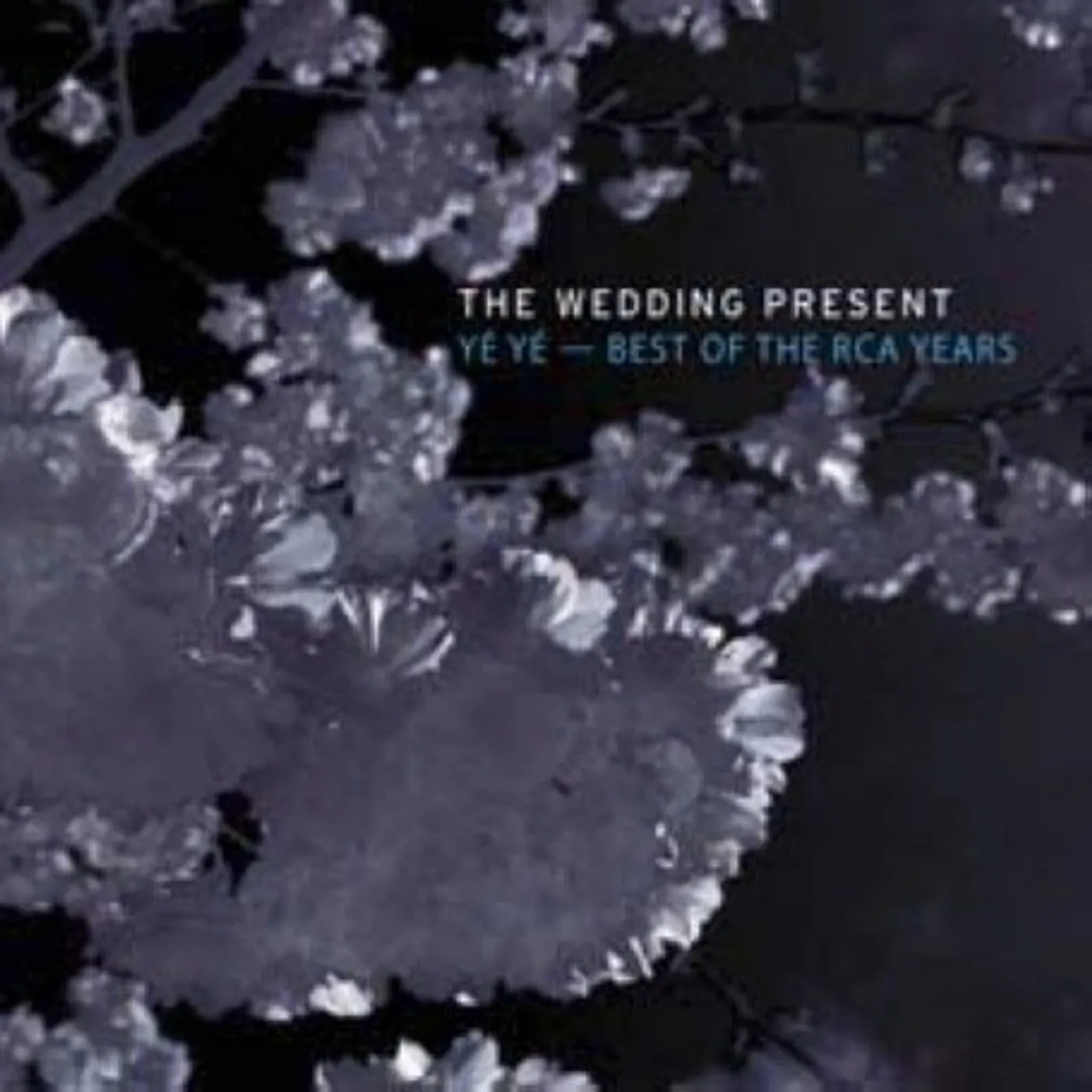 The Wedding Present BEST OF THE RCA YEARS CD