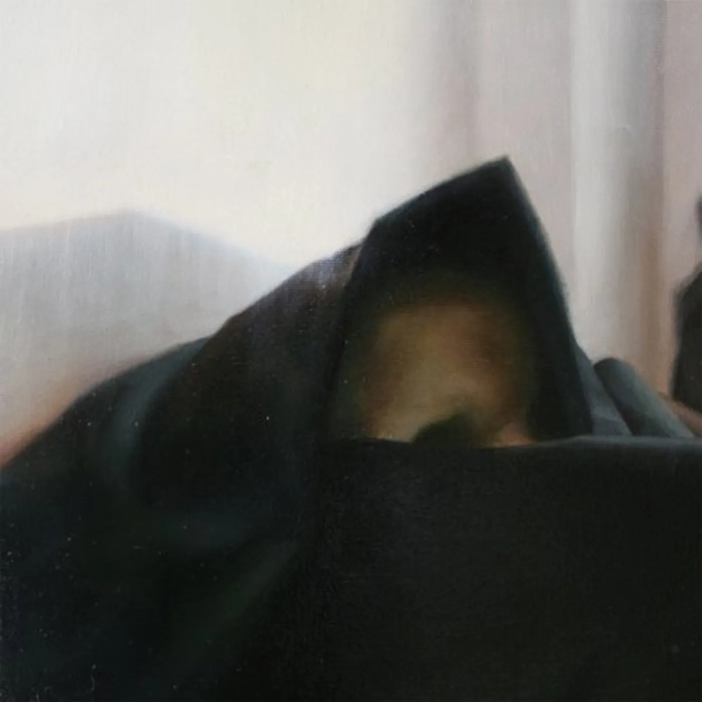 TRUE WIDOW CD