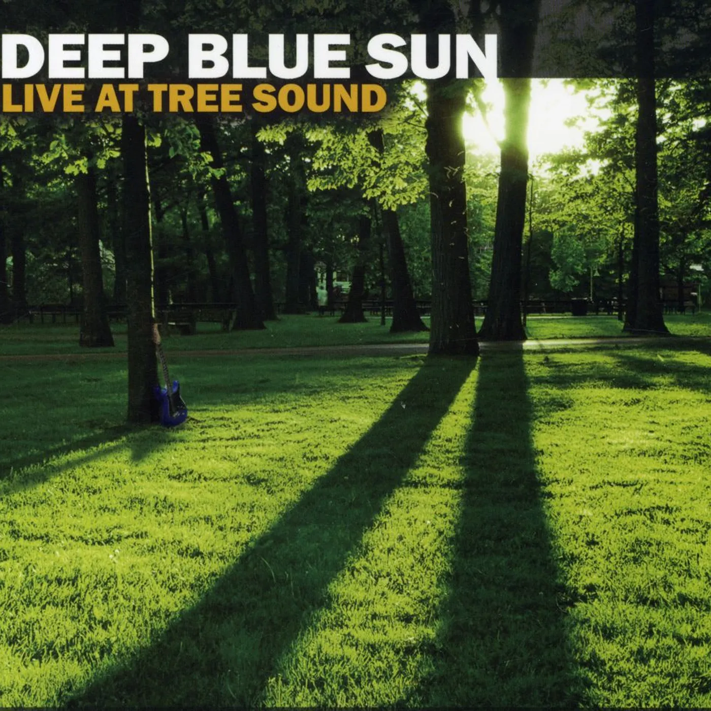 Deep Blue Sun LIVE AT TREE SOUND CD