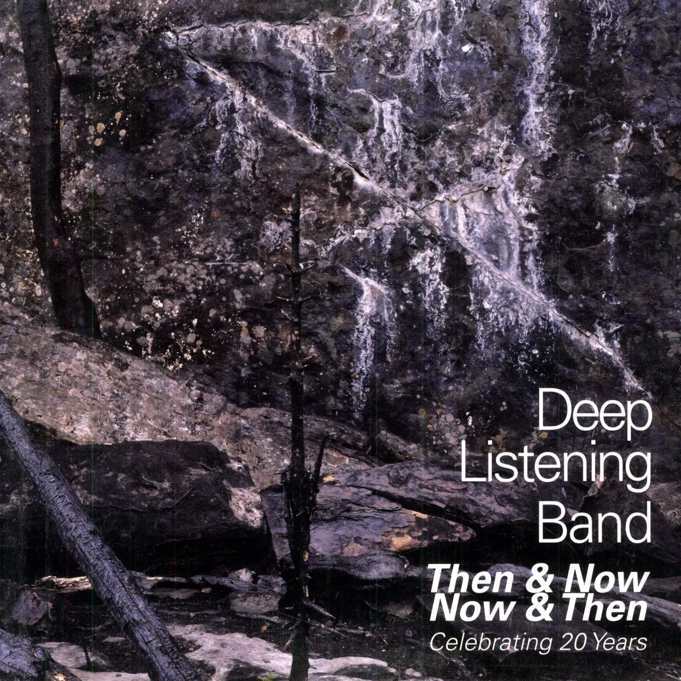 Deep Listening Band THEN & NOW NOW & THEN: CELEBRATING 20 YEARS Vinyl Record - Limited Edition
