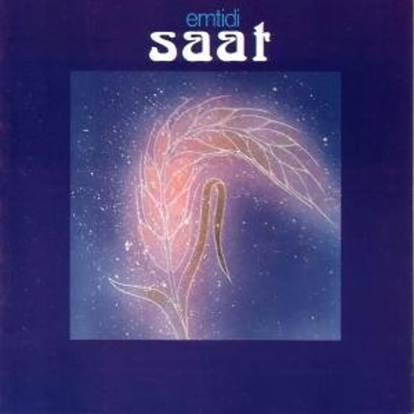 Guru Guru Saat Vinyl Record