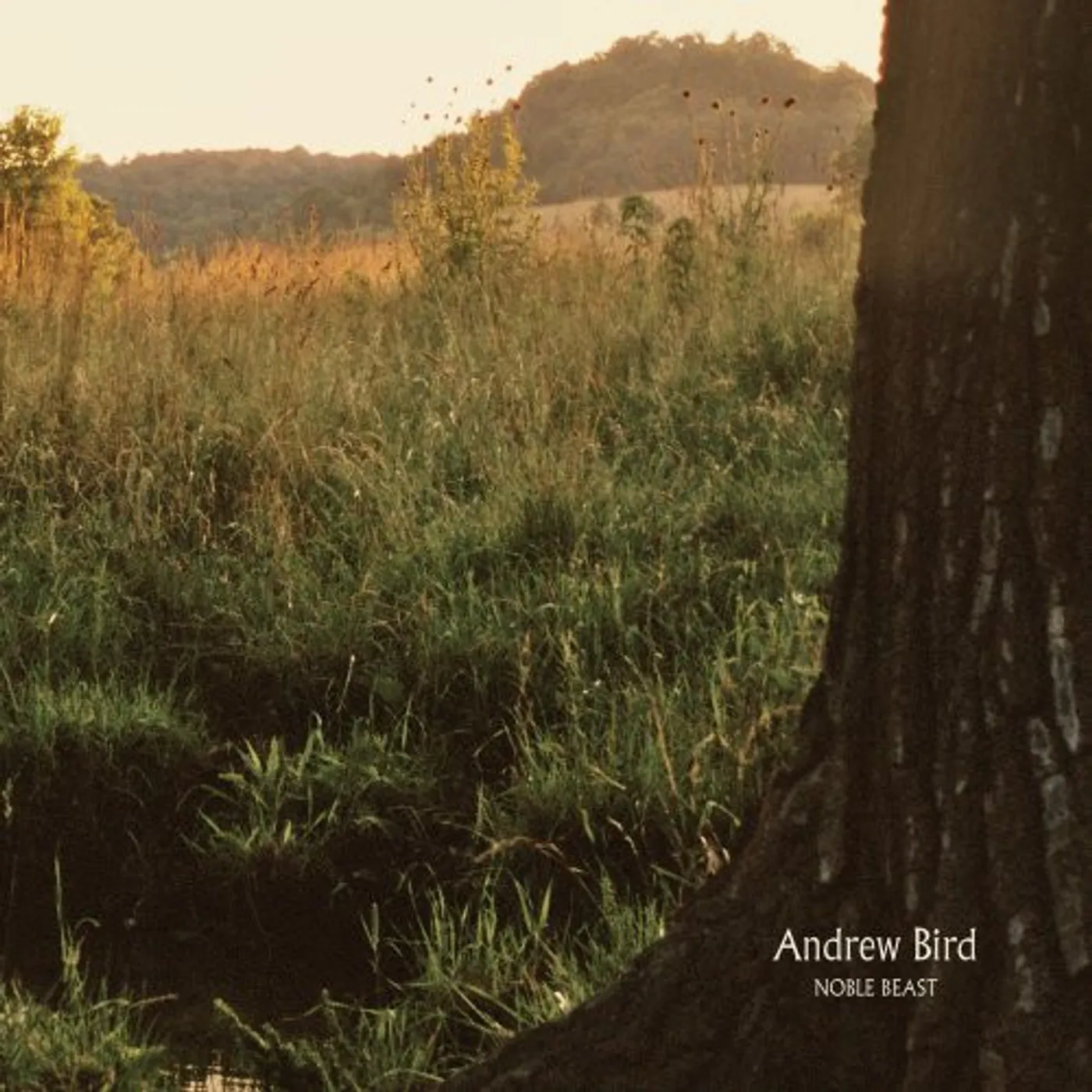 Andrew Bird Noble Beast Vinyl Record
