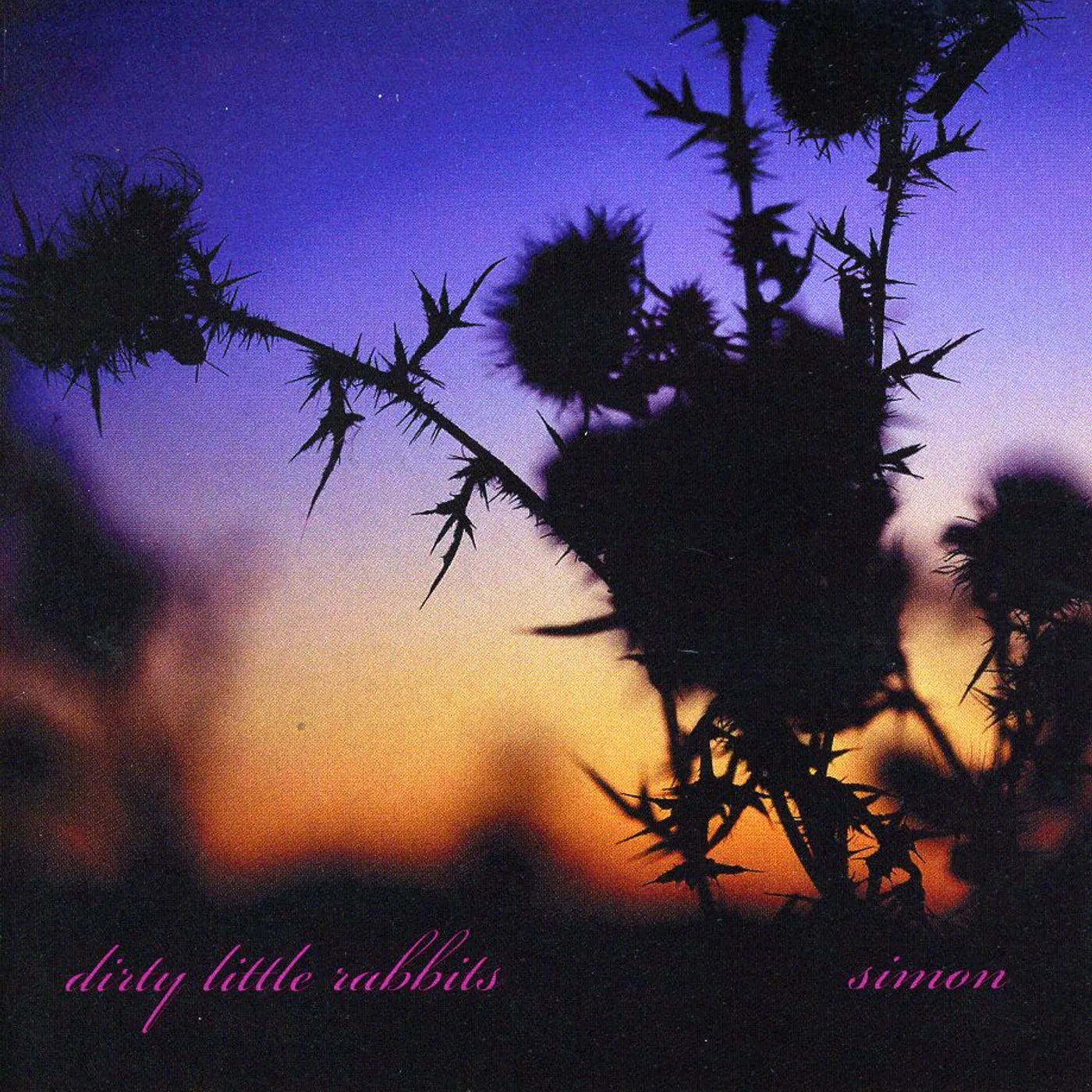 Dirty Little Rabbits SIMON CD