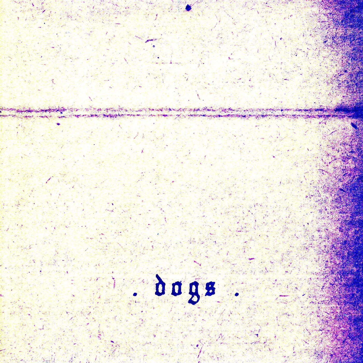 Beware of Safety Dogs Vinyl Record