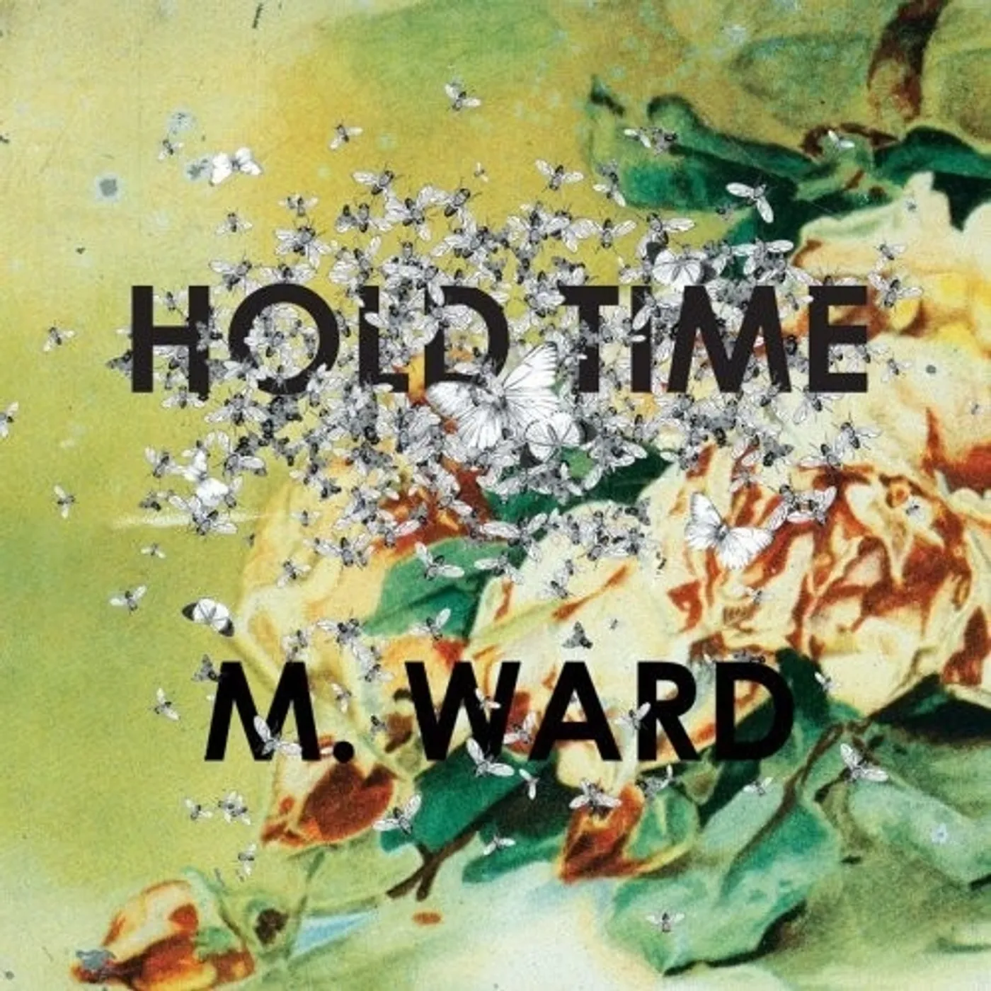 M. Ward HOLD TIME CD