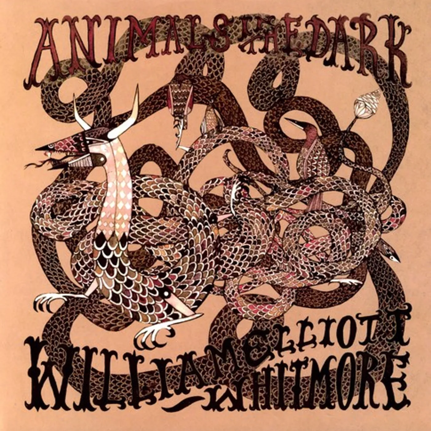 William Elliott Whitmore Animals In The Dark Vinyl Record
