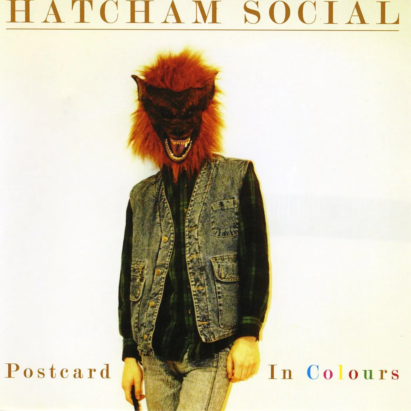 Hatcham Social POSTCARD IN COLOURS CD