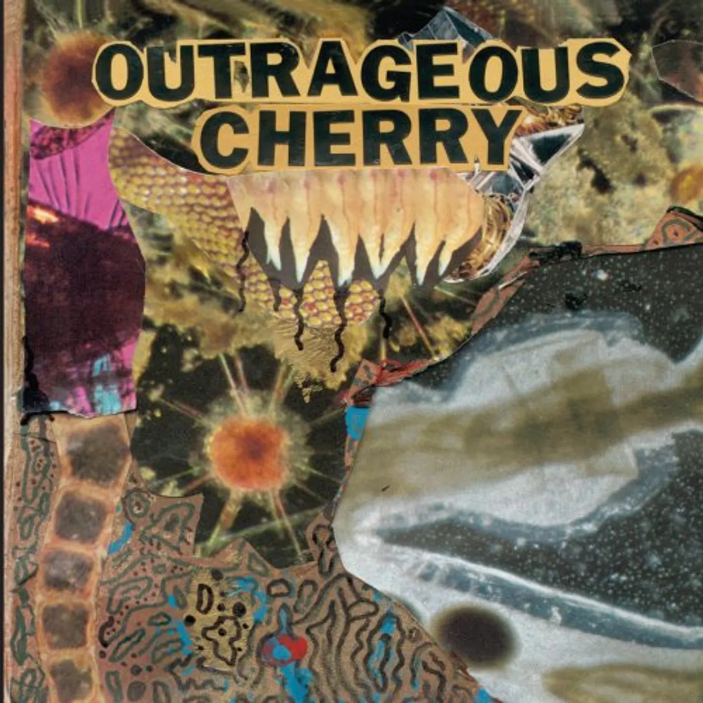 Outrageous Cherry Universal Malcontents Vinyl Record