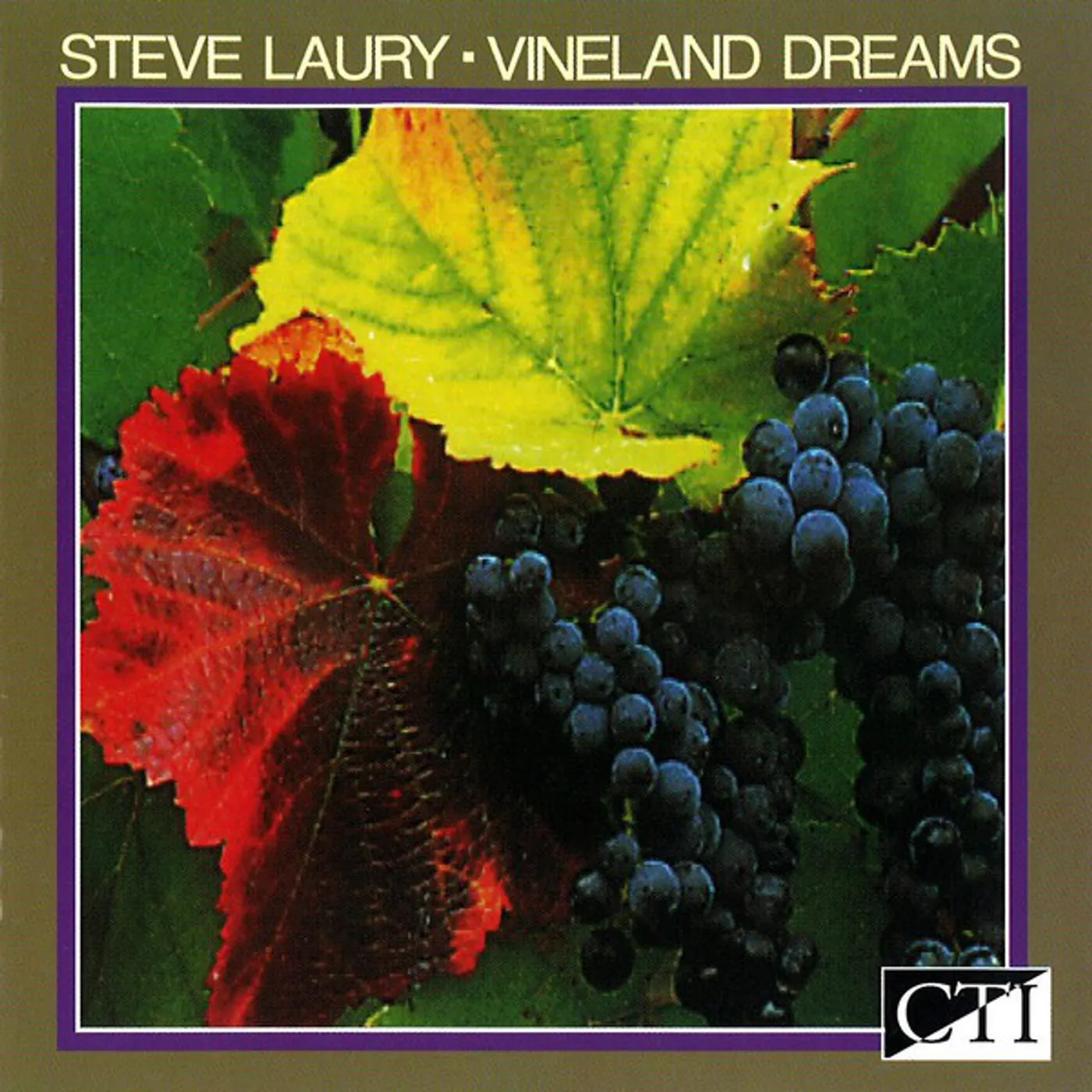 Steve Laury VINELAND DREAMS CD