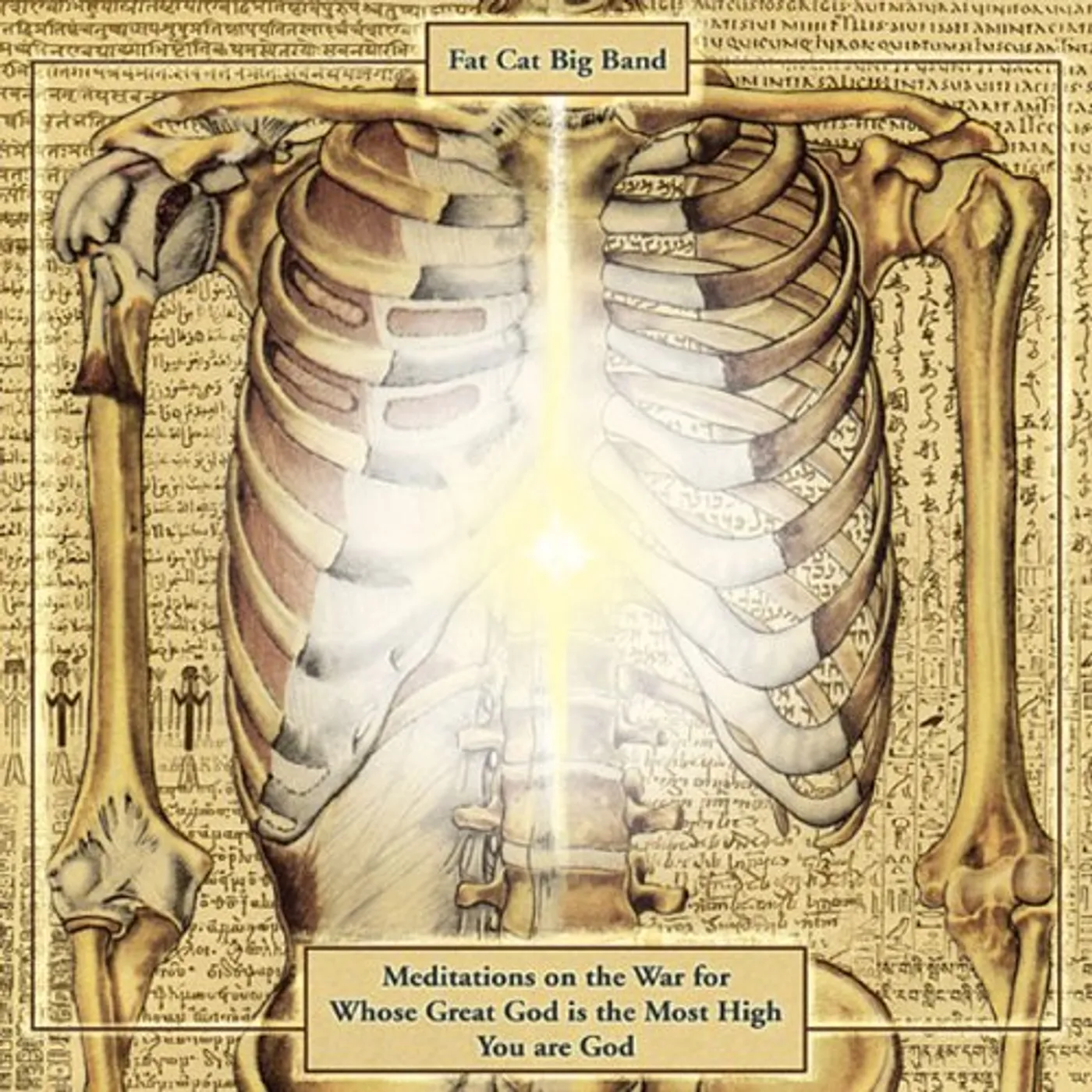 Fat Cat Big Band MEDITATIONS ON THE WAR FOR WHOSE GREAT GOD IS THE CD