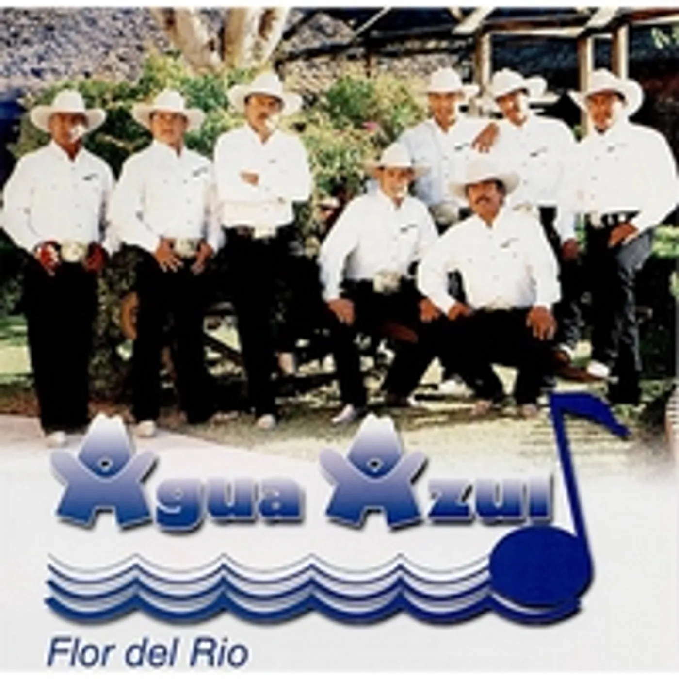 Agua Azul FLOR DEL RIO CD