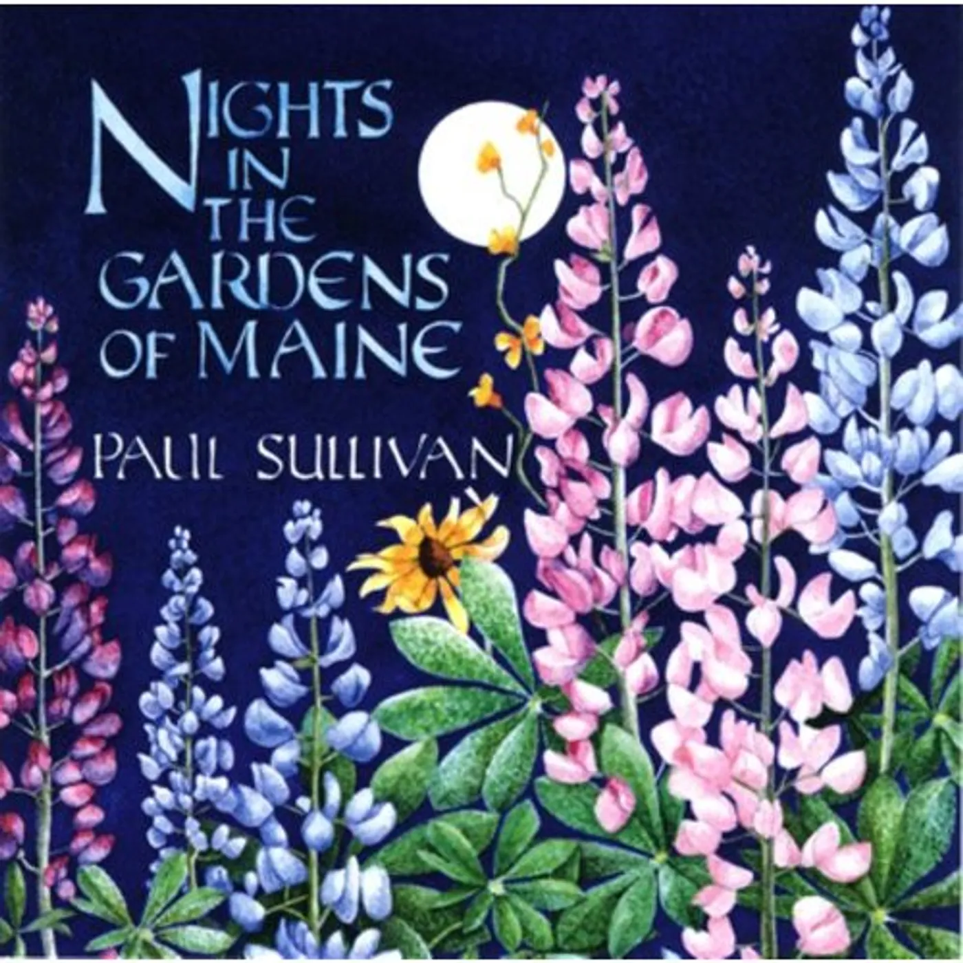Paul Sullivan NIGHTS IN THE GARDENS OF MAINE CD