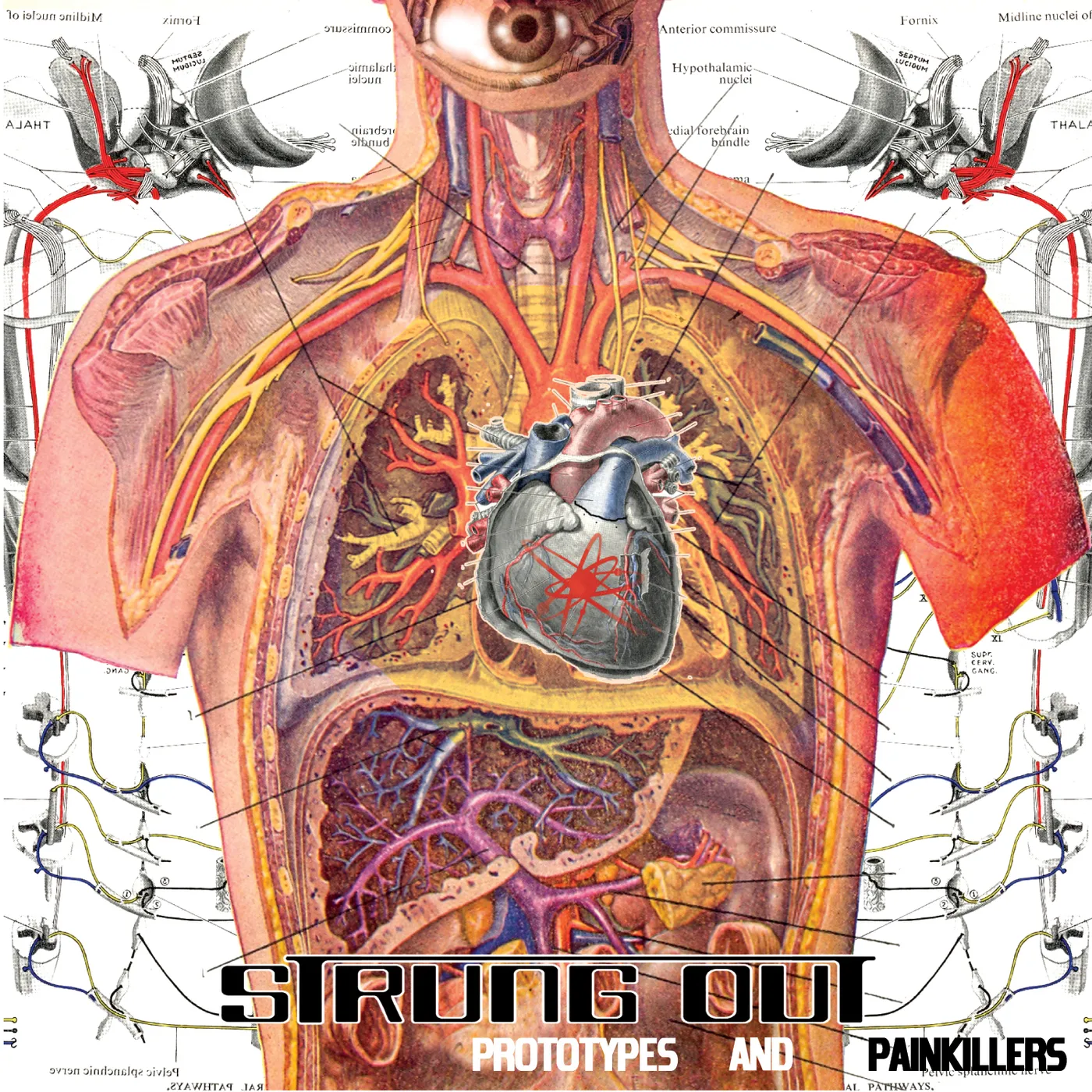 Strung Out Prototypes and Painkillers Vinyl Record