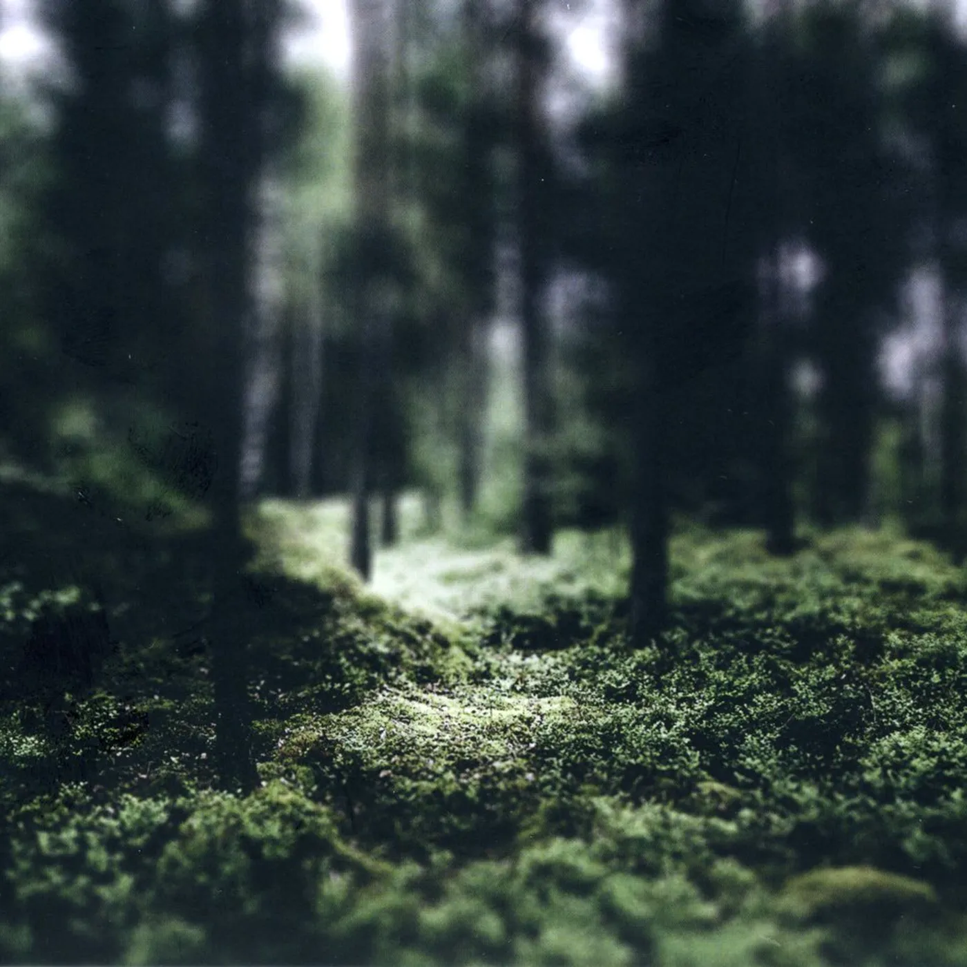 Helge Lien HELLO TROLL CD