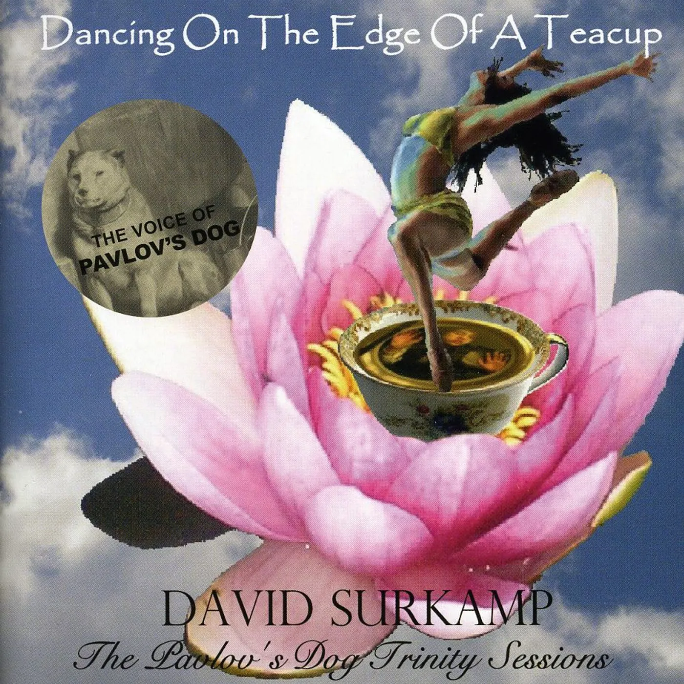 David Surkamp DANCING ON THE EDGE OF A TEACUP CD