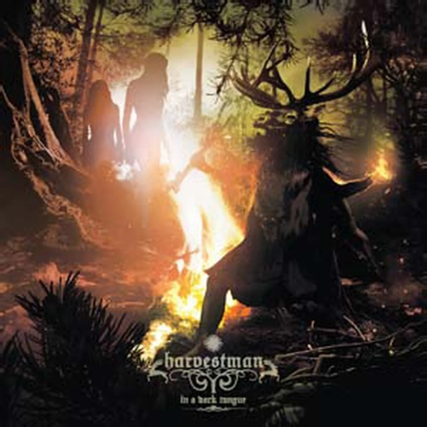 Harvestman IN A DARK TONGUE (Vinyl)
