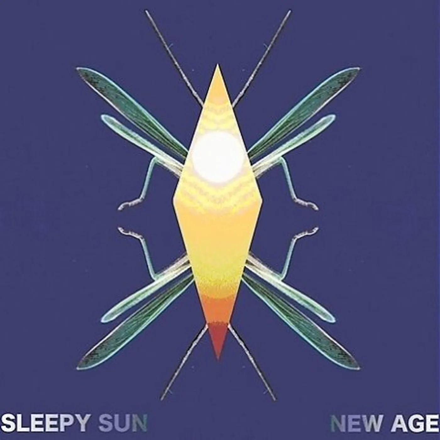 Sleepy Sun NEW AGE Vinyl Record
