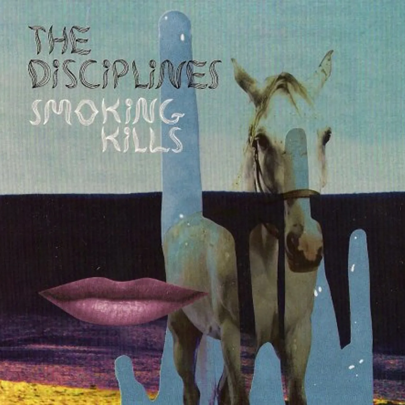 Disciplines Smoking Kills Vinyl Record