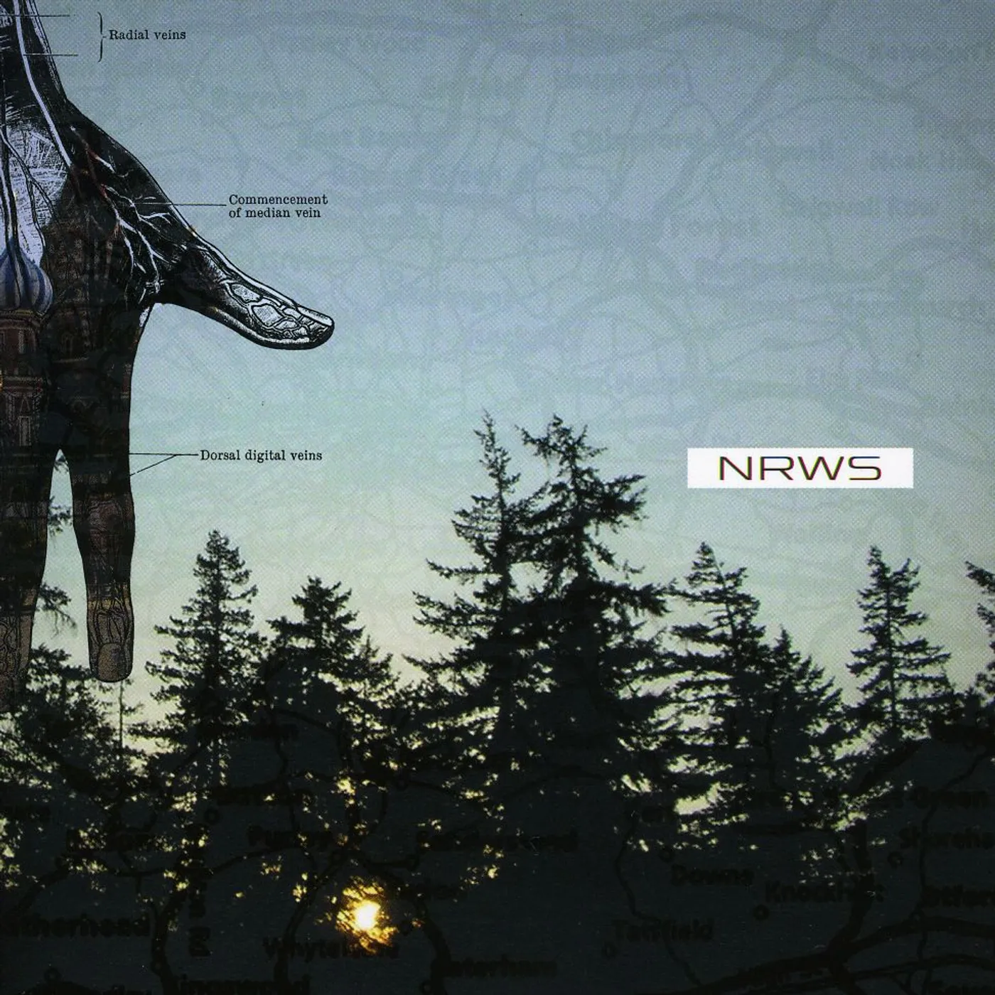Narrows NEW DISTANCES CD