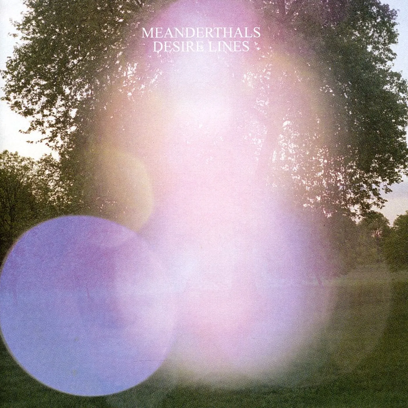Meanderthals DESIRE LINES CD